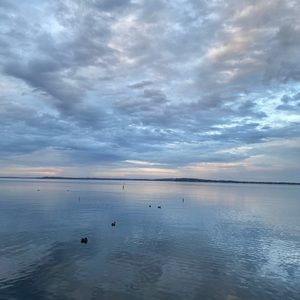 Meet your Posher, Eunice